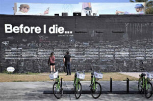 프로젝트 before I die 미국
