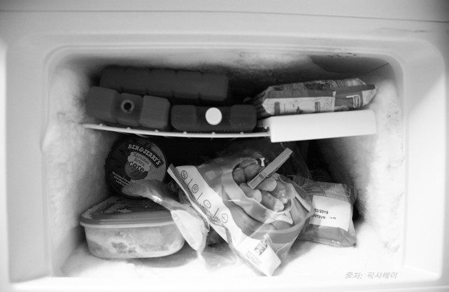 냉동고에 꽁꽁언 식품들이 보이는 사지