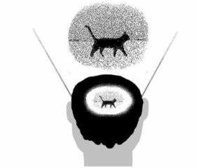 데자뷔 일러스트레이션