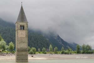 레시아호수 종찹 근경