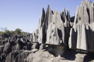 추랑가 석회암의 날카로움이 드러나는 사진