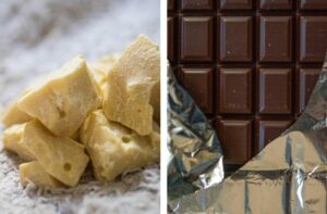 코코아 버터와 초콜릿