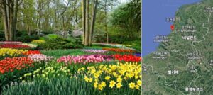 퀴켄호프와 퀴켄호프의 위치 지도