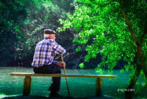 벤취에 앉아 있는 노인 이미지