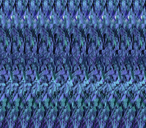 오토스테레오그램 패턴