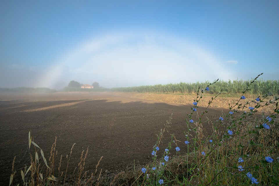 희미한 백색의 아치 형태　 안개무지개