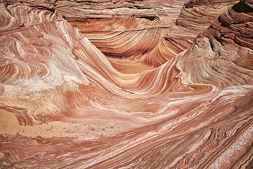 더 웨이브에서 볼 수 있는 사암 곡면