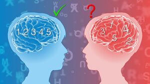 정상 뇌와 난독증 뇌의 차이를 이미지화 하다