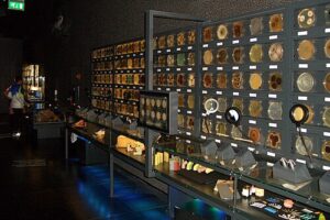 미생물을 전시한 벽