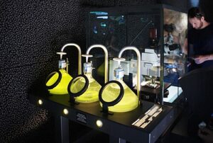 미생물 배양, 현미경 관찰과 확대 영상을 전시하는 공간