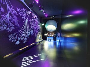 생명의 나무를 형상화한 벽면 장식