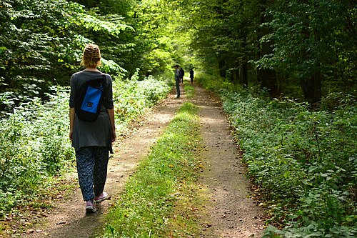 숲 속에서 천천히 자연을 즐기며 걷기