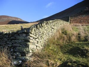 펠 지역에 조성된 돌담 형태의 인클로저