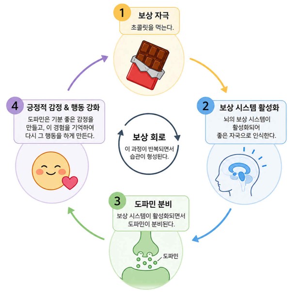 4단계로 설명되는 보상 회로도