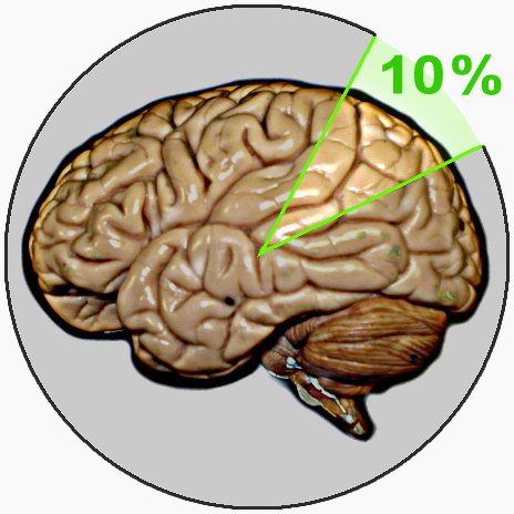 뇌 10% 신화를 뇌의 한 부분으로 가상화 한 이미지